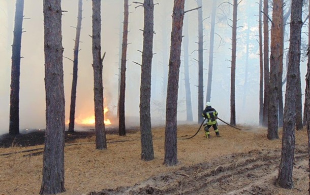 На Луганщине масштабные пожары, эвакуируют села - (видео)